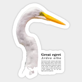 Great egret tropical bird black text Sticker